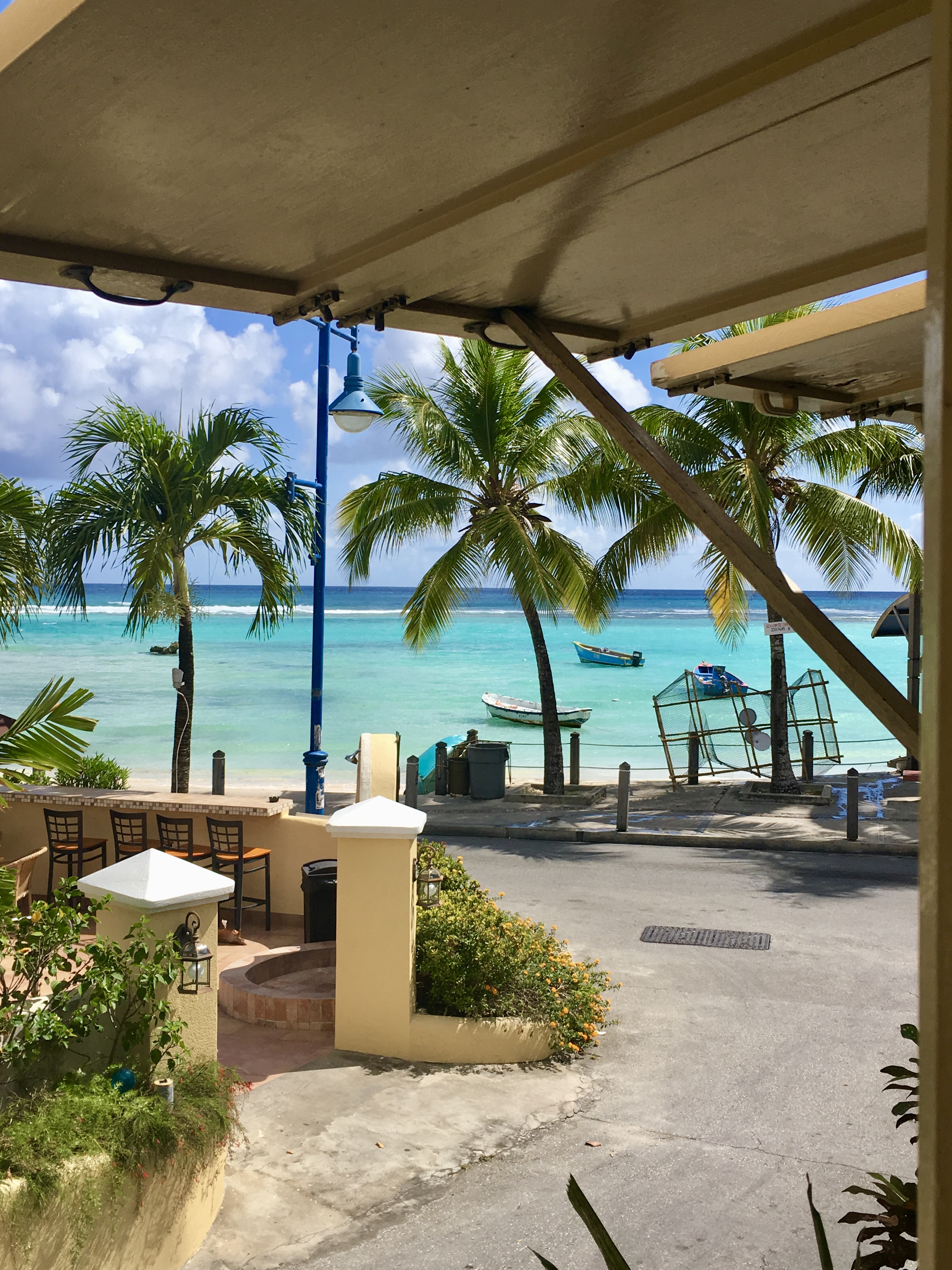 Coconut trees along a road next to the ocean.